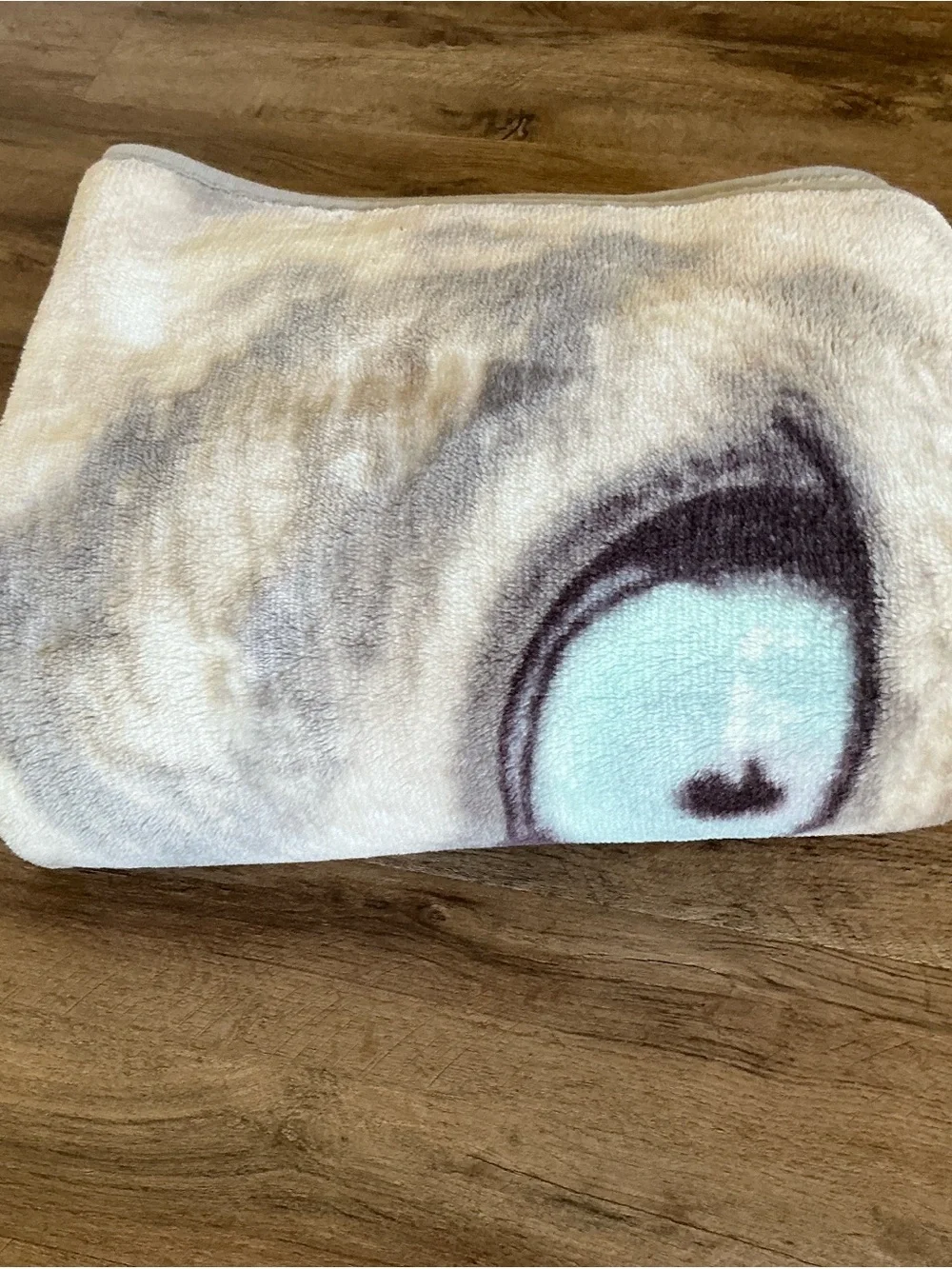 Collin Bogle White Snow Leopard Cat Fuzzy Throw Blanket 48” x 60